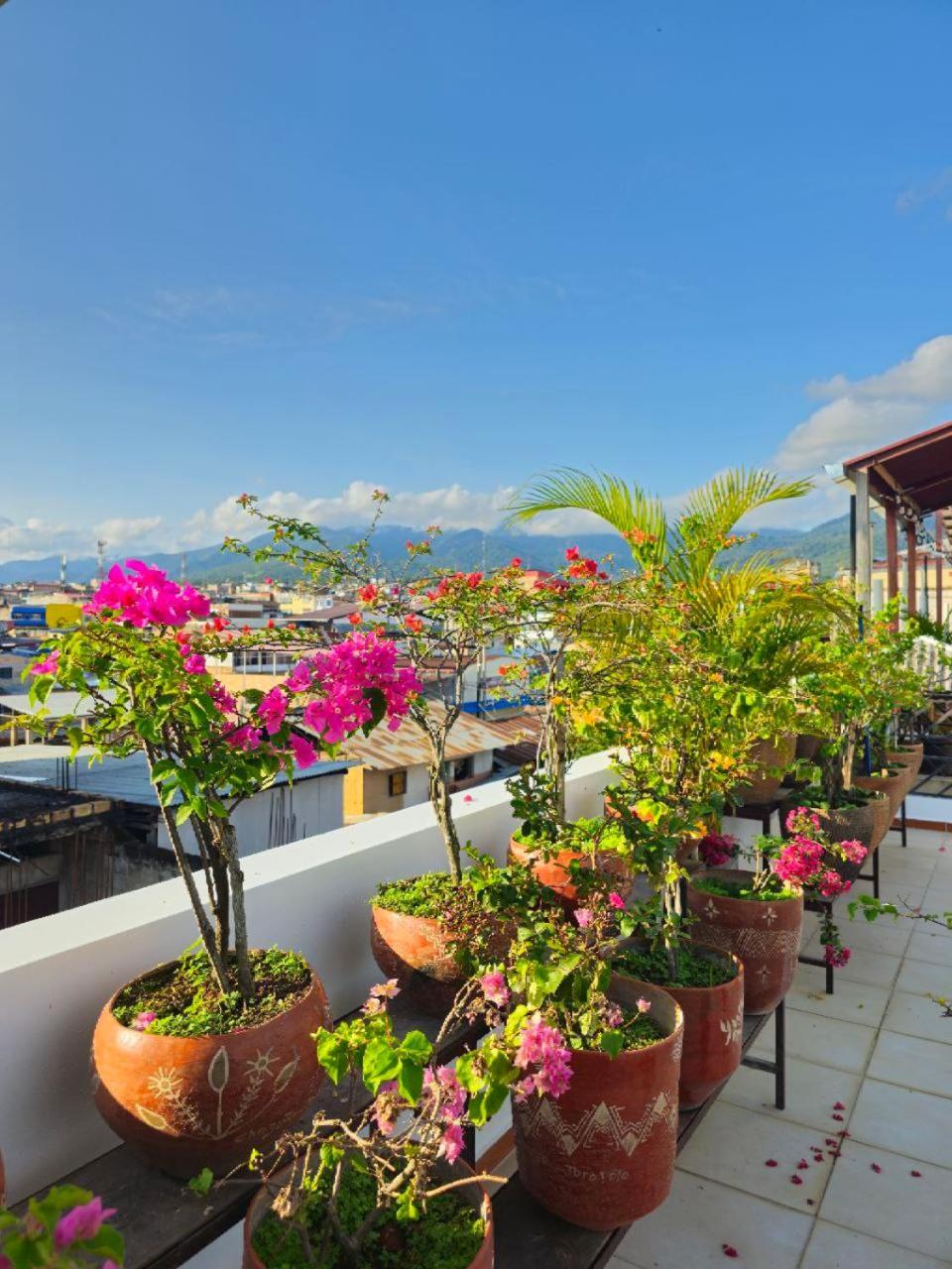 Residencial Brest Amazon 2* Tarapoto